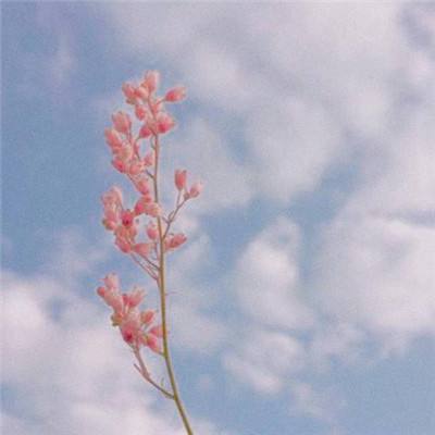 亚娱体育app官方网站旗舰版