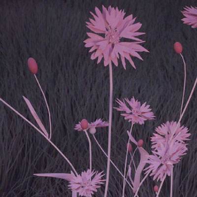 易格斯丨静电+粉尘=精密制造“隐...