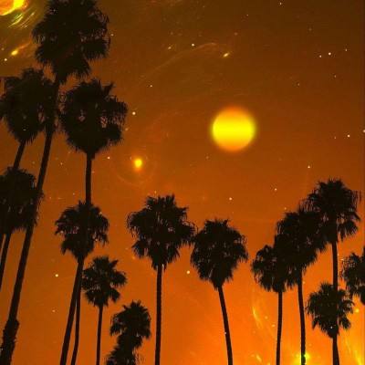 油价飙升，煤化工躺赢？神华、宝丰等六巨头争霸