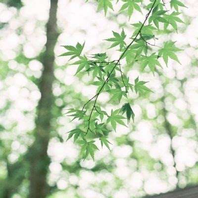 检察日报谈明星阴阳合同：税务机关要拔出萝卜带出泥