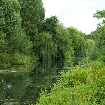 中国激光的底气是什么？未来又在...