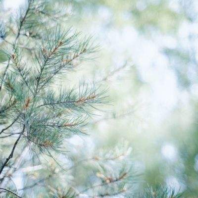 皮尔磁信息安全咨询现采用标准C...