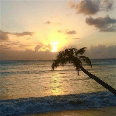 美军称“林肯”号航母有人员受伤