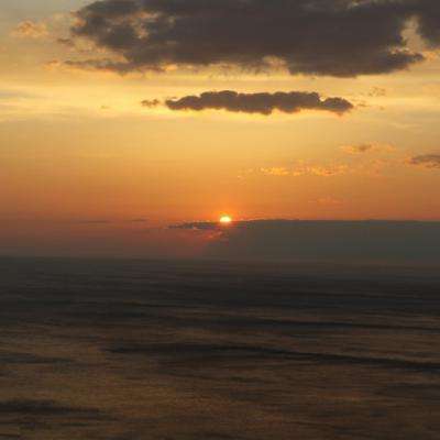 刘晓庆外甥方声明