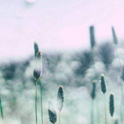 TMT50ETF招商（159909）跌1.84%，成交额169.88万元