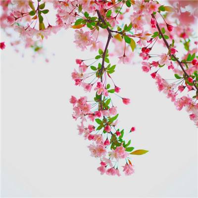 国乒新王登基!李晓霞接班人苦战7局战胜丁宁夺冠