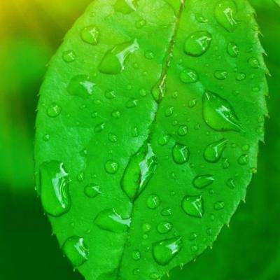 零售企业警告:若伊朗冲突持续数月,将上调商品价格