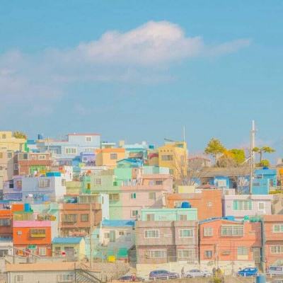 多措并举强宣传筑牢全民防护网